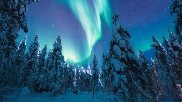 Visiter la Laponie, une idée de voyage vraiment pas comme les autres